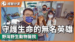 野外遇到受傷動物怎麼辦？帶你參觀野灣野生動物保育協會