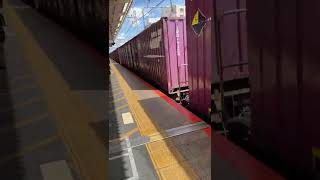 [ Japan ] Passing Cargo train 貨物列車が長いのよ！