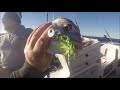 snapper fishing with alfonso wearing his socks u0026 sandals