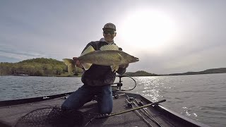 April Fishing-Beaver Lake Walleye Beat down