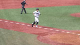 【大学野球】立教大学 山田健太選手(1年=大阪桐蔭)のHR