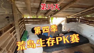 荒島生存PK賽，比賽第39天，選手喬遷新居過上令人向往的生活！#野外生存技能 #野外生活紀錄片 #戶外趕海抓海鮮 #庇護所建造 #荒島生存