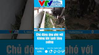 Chủ động ứng phó với không khí lạnh tăng cường | VTVWDB