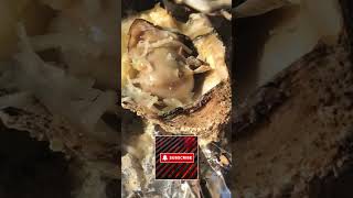 GRILLED OYSTERS! In Garlic Butter with Parmesan Cheese #seafood #grilling #oysters #food