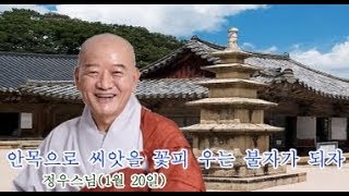 정우스님(2019. 1. 20)-“안목으로 씨앗을 꽃피 우는 불자가 되자”