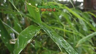 더위를 잊게 하는 시원한 빗소리.  수면유도. Rainsounds for sleeping.  Rainsouns ASMR.