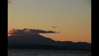 2021江の島de初日の入