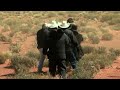 the lone ranger johnny depp is run over by a horse on set screenslam