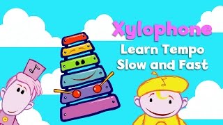 Xylophone | Notekins | Music Videos | BabyFirst TV