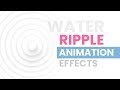 Neumorphism CSS Animation Effects