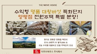 양평 수익형 주택상가/ 대왕버섯 전원주택 단지 특별분양 :: 더무브하우스