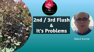 दूसरी फ़्लश में कैसी सावधानी और कौन-सी तैयारी करें / How To Manage 2nd Flush In The Month Of March