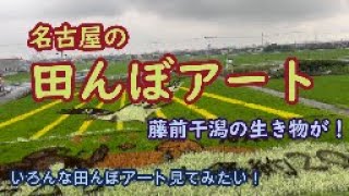 名古屋市「田んぼアート」　日本人の主食の米！田んぼで米が作られることを忘れないで❣️そして、日本中の「田んぼアート」が見たい。一部だけど一緒に見よしょう。