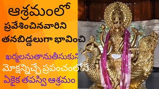 గాయత్రీ తపస్వి ఆశ్రమం శంబలనగరి #devotional #spirituality #yogamudras #yogaasana #health #meditation