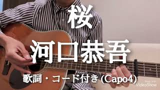 桜 / 河口恭吾　ギター弾き語り　歌詞・コード付き(Capo4)