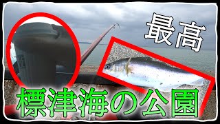 【投げ釣り】コマイ釣りに再び標津へ【北海道 釣り】