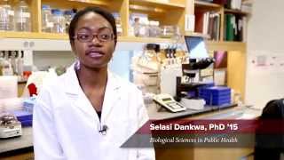 Why Public Health? Selasi Dankwa