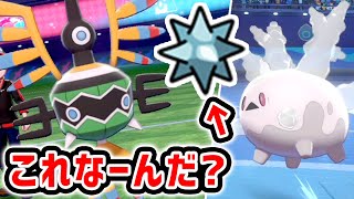 謎アイテム『くっつきバリ』×『シンボラー』で高耐久ポケモンを完封‼【ポケモン剣盾】