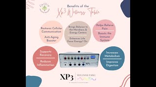 XP3 Wellness Table with Dr. Jennifer Gramith