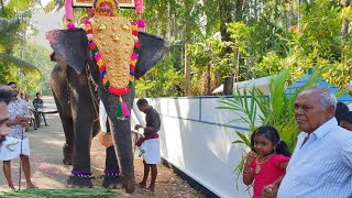 Kolakkadan Kuttikrishnan Elephant at Chemboothra Pooram 2020