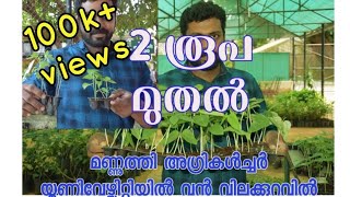 മണ്ണുത്തി കേരള അഗ്രികൾച്ചർ യൂണിവേഴ്സിറ്റി ! Mannuthy agricultural ! kerala agricultural university