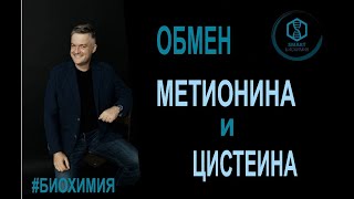 Биохимия: Обмен метионина и цистеина