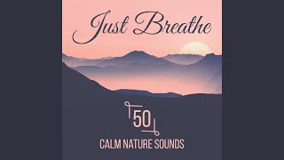 Soothing Touch (Asian Spa Massage Music)