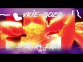 vkie bozo snippet video