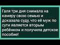 Как Деревенский Парень в Город Поехал Большой Сборник Свежих Смешных Анекдотов