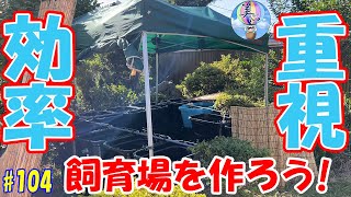 効率重視の飼育場を作ってみよう♪飼育場増設！！【メダカDIY】＃１０４ ～美心めだか～