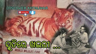 ସୃତିରେ ଖଇରୀ ... ଆଜିର ଦିନରେ ଆମକୁ ଛାଡି ଚାଲିଯାଇଥିଲେ ବିଶ୍ୱ ପ୍ରସିଦ୍ଧ ଖଇରୀ ... Tigress Khairi ...