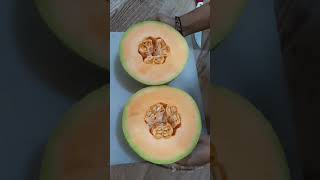 Muskmelon Cutting #Kharbuja #Fruitlover #Sweetmelon #AllinOne