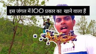 जंगली फल कैसे लगता हैं// यहां है जंगली फलों का समृद्ध  #video #dular