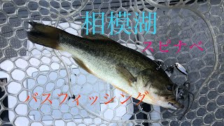 【相模湖】　神奈川県相模湖釣行　【バス釣り】