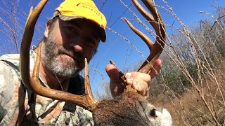 Hunting deer with a Winchester model 71  348 caliber, Big bore lever action