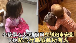 小孩傷心大哭，狗狗立刻跑來安慰，貼心行為感動所有人,狗狗和小孩相處時的暖心瞬間!