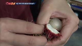 vj특공대- 4인 가족 라오스에서 100만 원으로 한 달 살기! 20180907