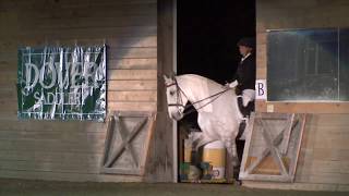 Eight Horse Quadrille at the 2009 Equine Harvest Festival