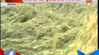 Zee24Taas : Farm Destroyed In Jalna