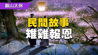 民間故事：樵夫進山找食物，心善放生雉雞，雉雞：趕緊躲進地窖裡 / 古代奇案懸案 / 民間故事