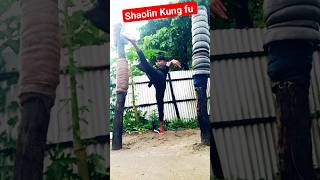 Kung Fu Monk Performing ｜Shaolin hard Qigong #lijunwang #Shorts #monk #bruce #jackie