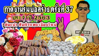 กาดงานร่มบ่อสร้าง ครั้งที่ 37 ปี 2563 (หนึ่งปีมีสามวันเท่านั้น)