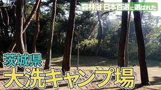 【大洗キャンプ場】ソロキャンプ海近！広々サイト！キャンプ飯ステーキ（茨城県　大洗町）