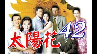 中視花系列『太陽花』EP42 (1998年)