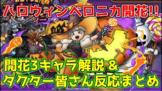 【DQタクト】ハロウィンベロニカ開花きたああ！！新開花キャラ3体の解説と皆さんの反応まとめ【#ドラクエタクト/#ドラゴンクエストタクト/#DQTact】