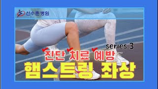 햄스트링 좌상 시리즈 3 - 진단, 치료, 예방