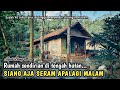 MENGUNJUNGI PRIA YG TINGGAL MENYENDIRI DI TENGAH HUTAN TANPA LISTRIK, SIANG AJA SERAM APALAGI MALAM