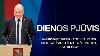 Interviu su Sauliumi Skverneliu: ar Žemaitaitis sugriaus koaliciją? | DIENOS PJŪVIS