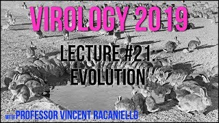 Virology Lectures 2019 #21: Evolution