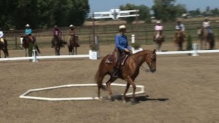 Inside Cowboy Dressage